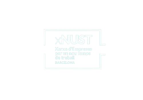 logo nust