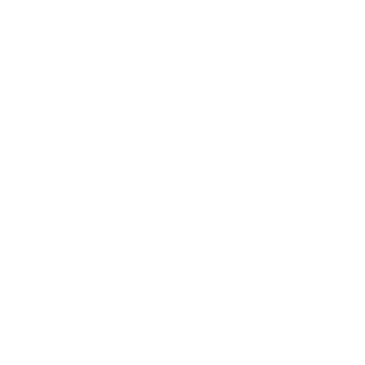 ceo