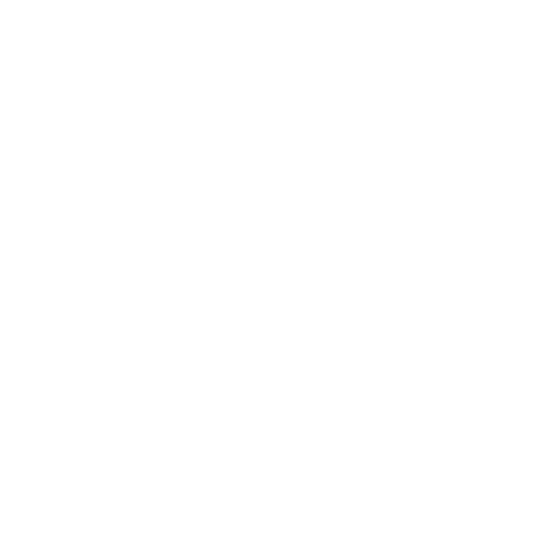 desarrollador de software