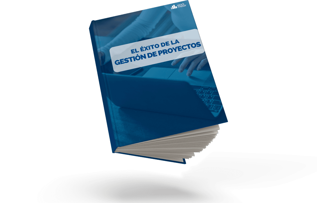 gestión proyectos
