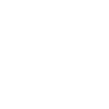 icono secure